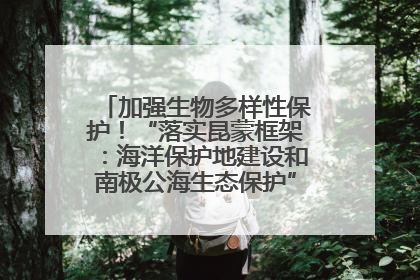 加强生物多样性保护！“落实昆蒙框架：海洋保护地建设和南极公海生态保护”主题论坛将举办